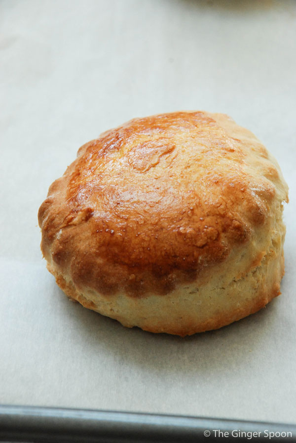 scone